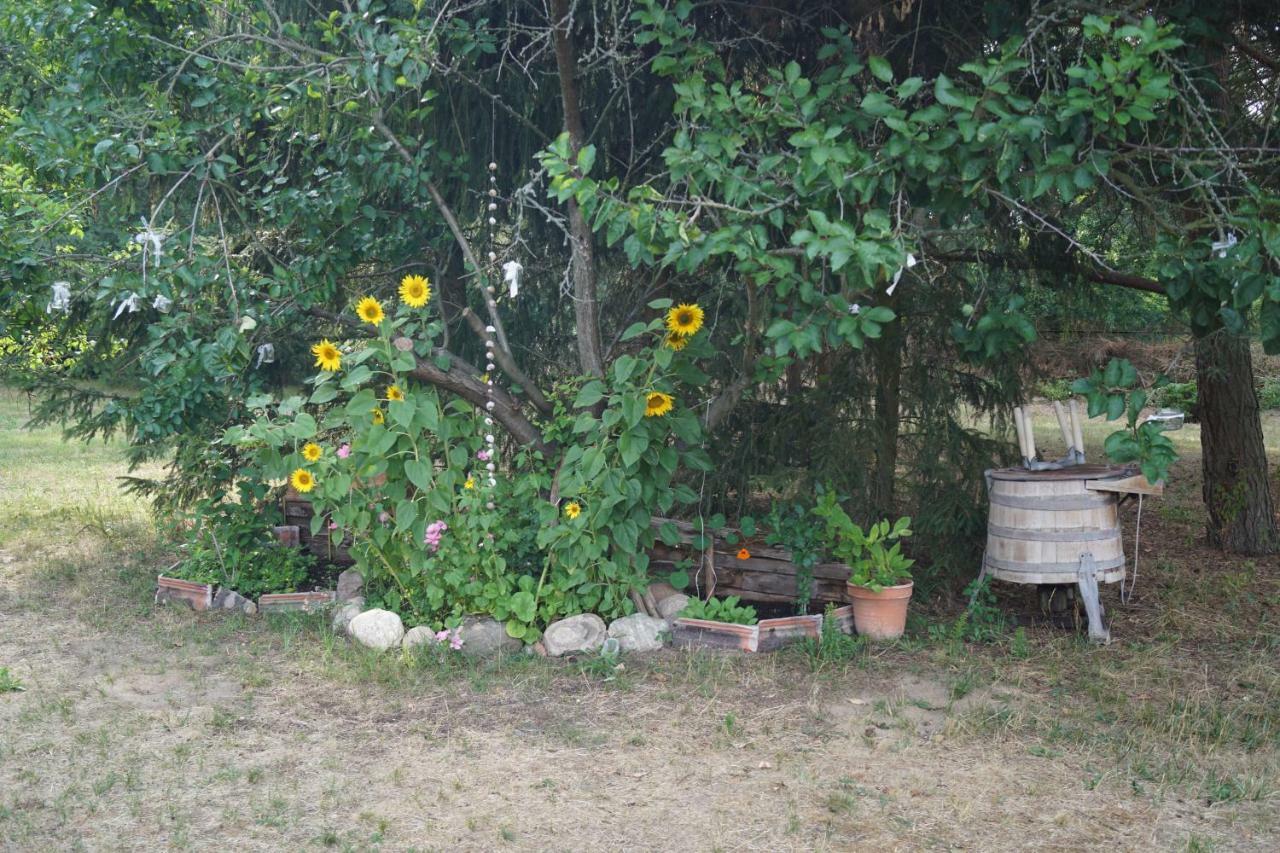 Ferienwohnung Rehagen Sued Am Mellensee ภายนอก รูปภาพ