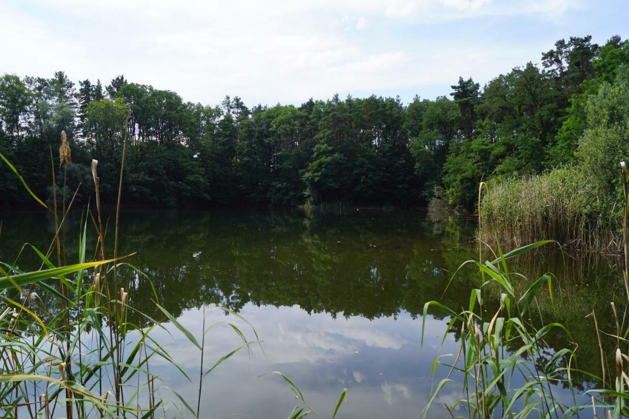 Ferienwohnung Rehagen Sued Am Mellensee ภายนอก รูปภาพ