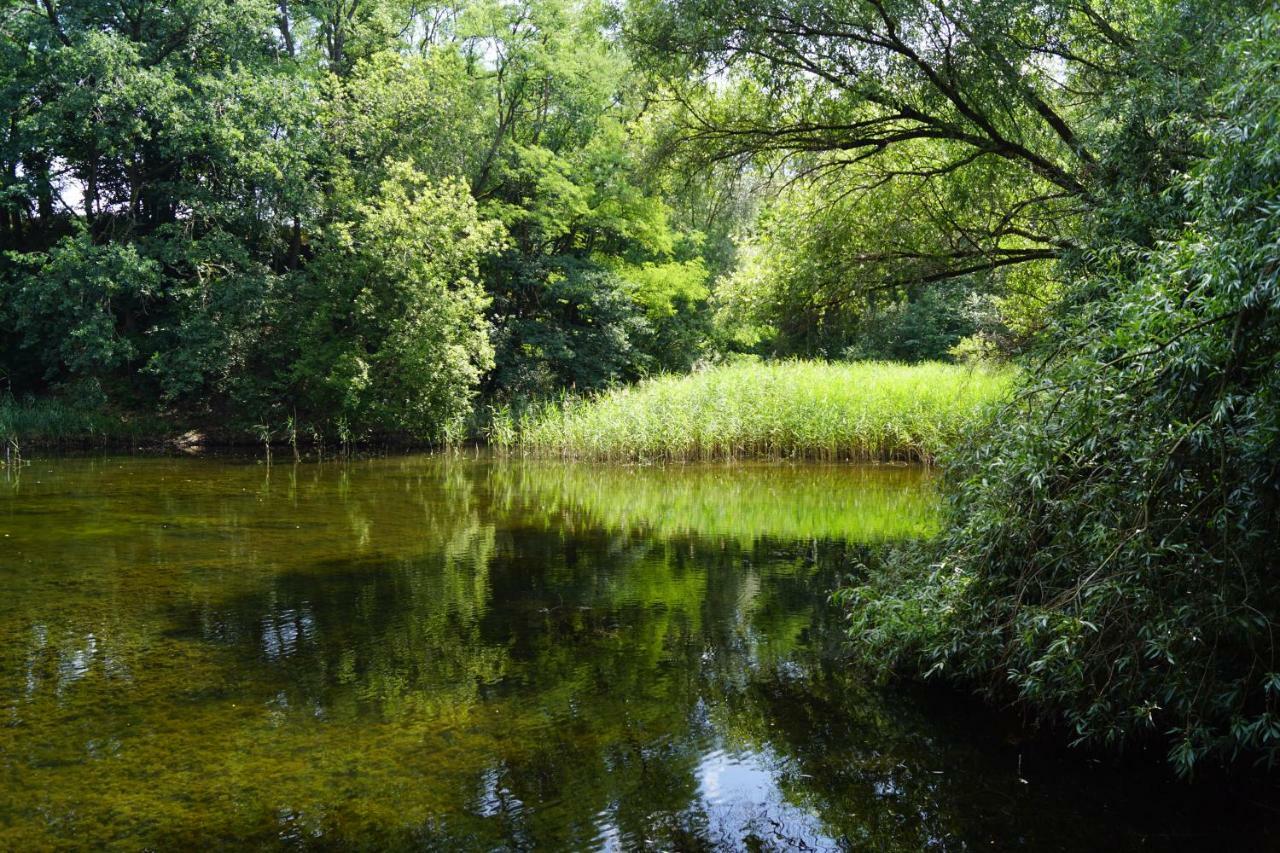 Ferienwohnung Rehagen Sued Am Mellensee ภายนอก รูปภาพ